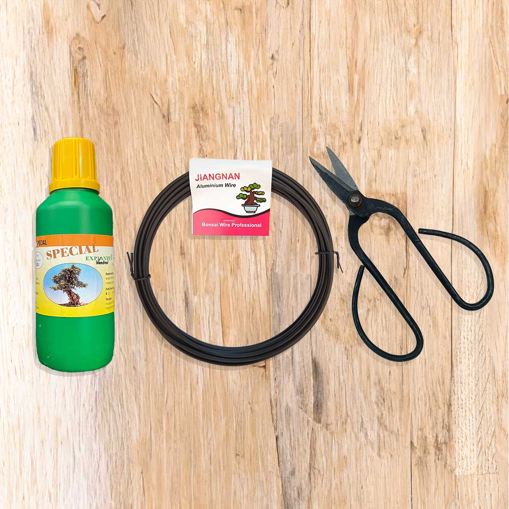 Bonsai verzorgingsbundels